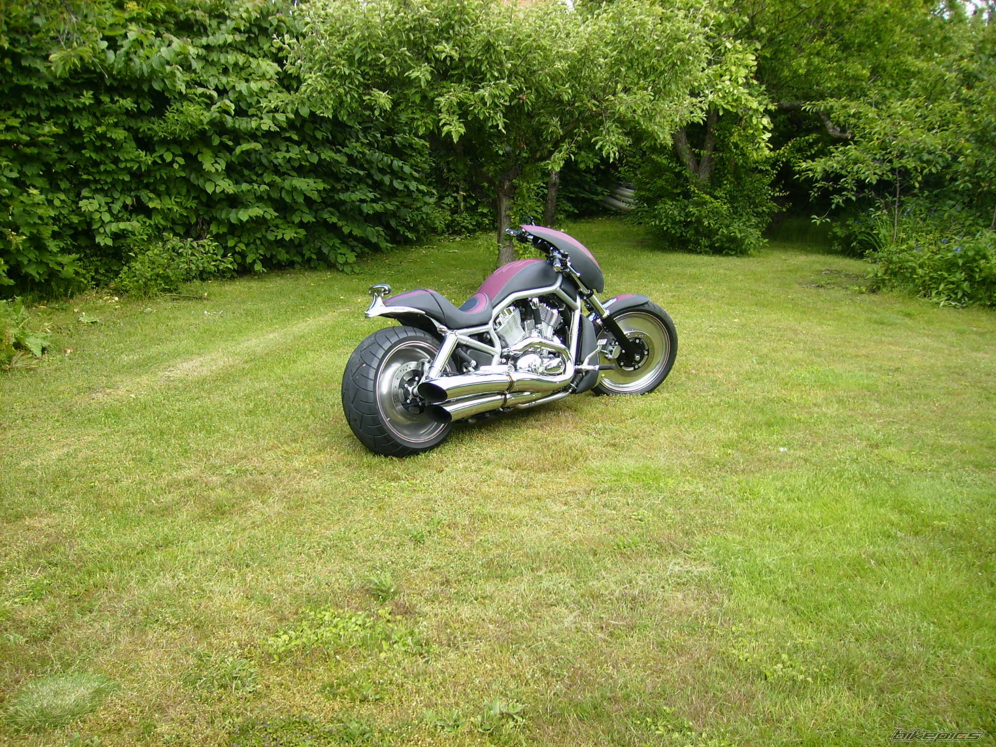 Photo 2004826