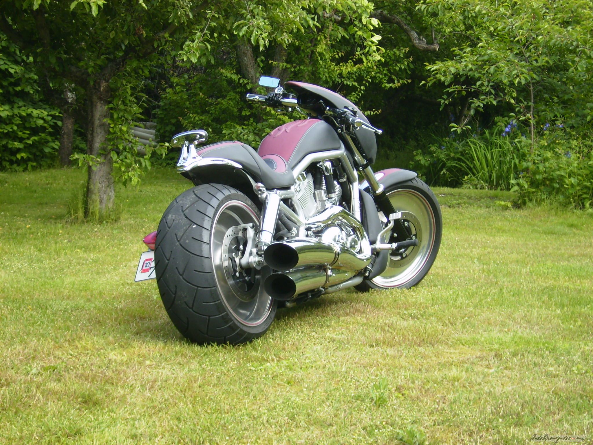 Photo 2004827
