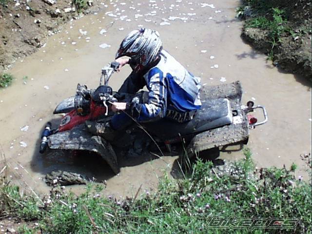 Photo 200483