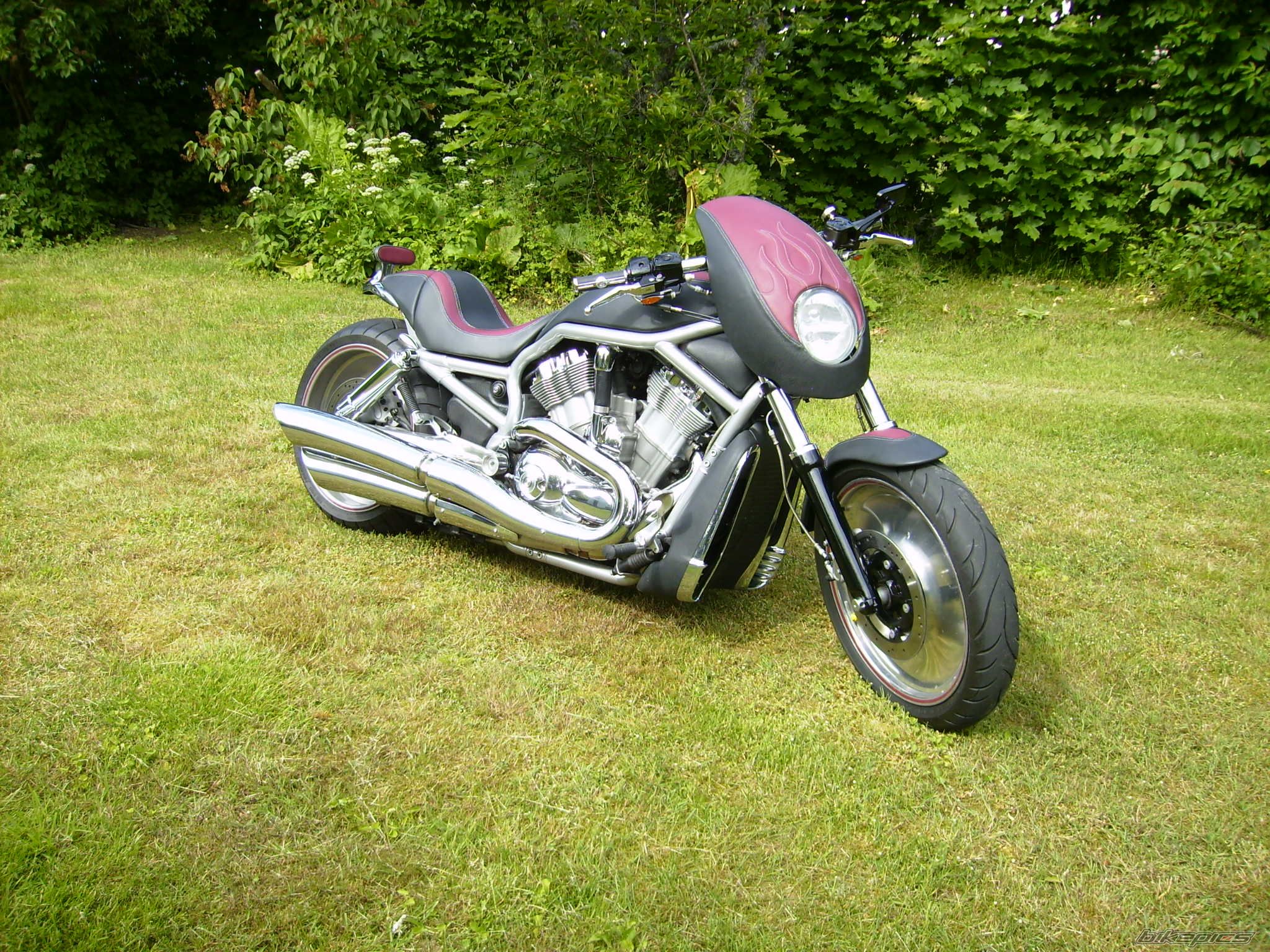 Photo 2004831