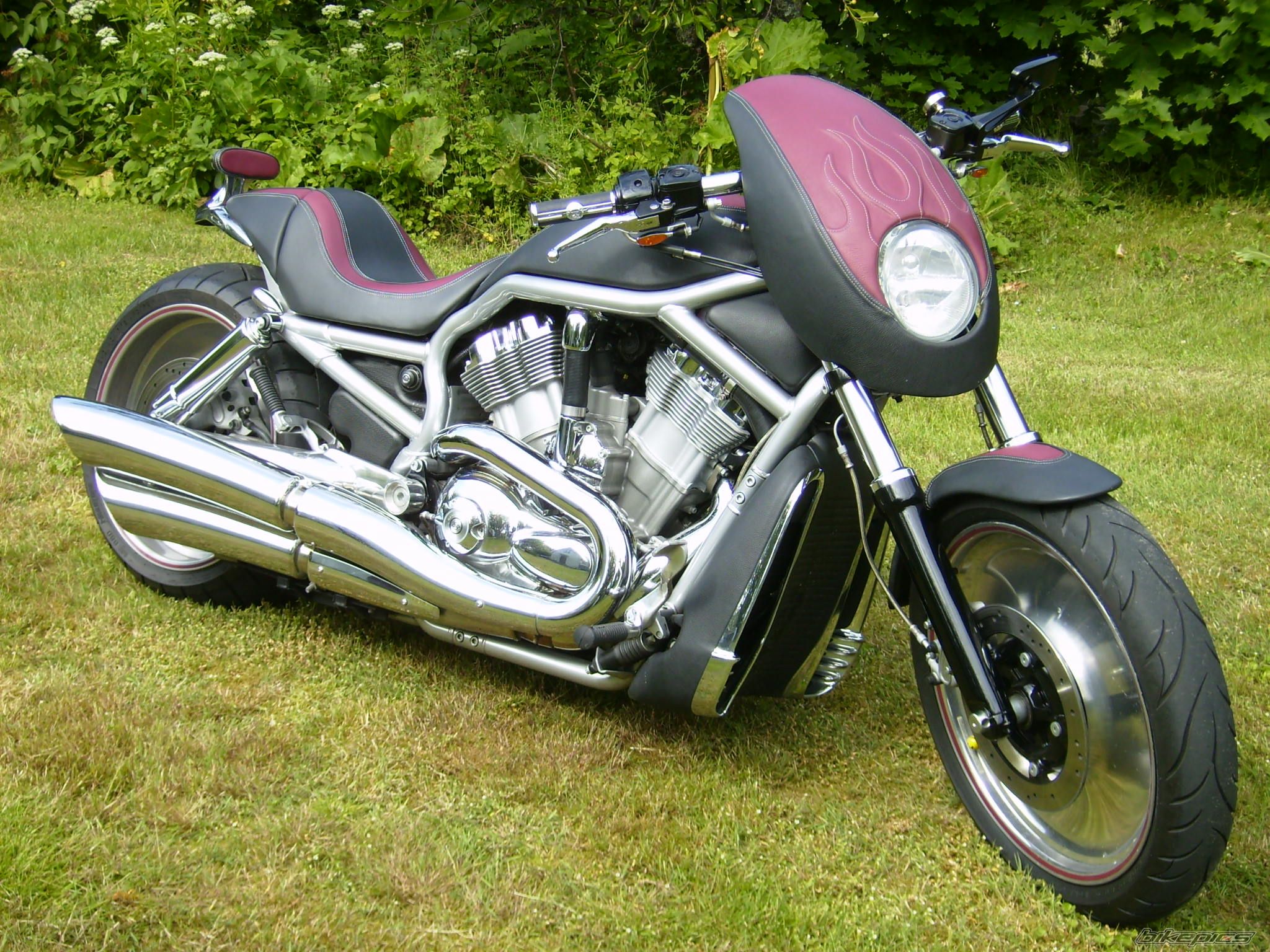 Photo 2004832