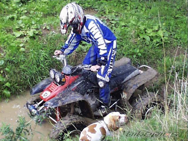 Photo 200488