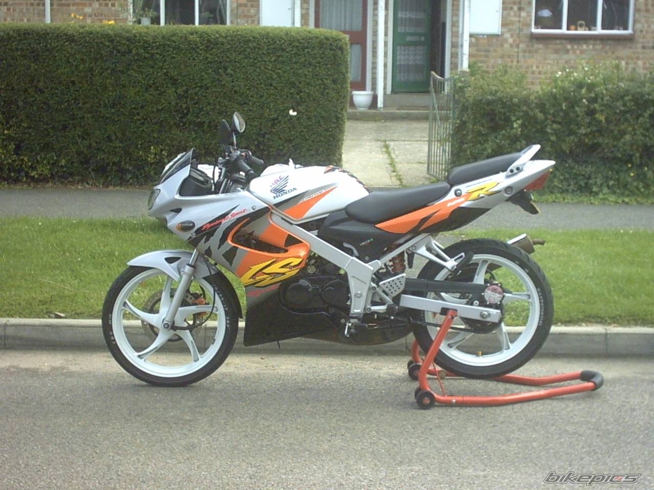 Photo 200491