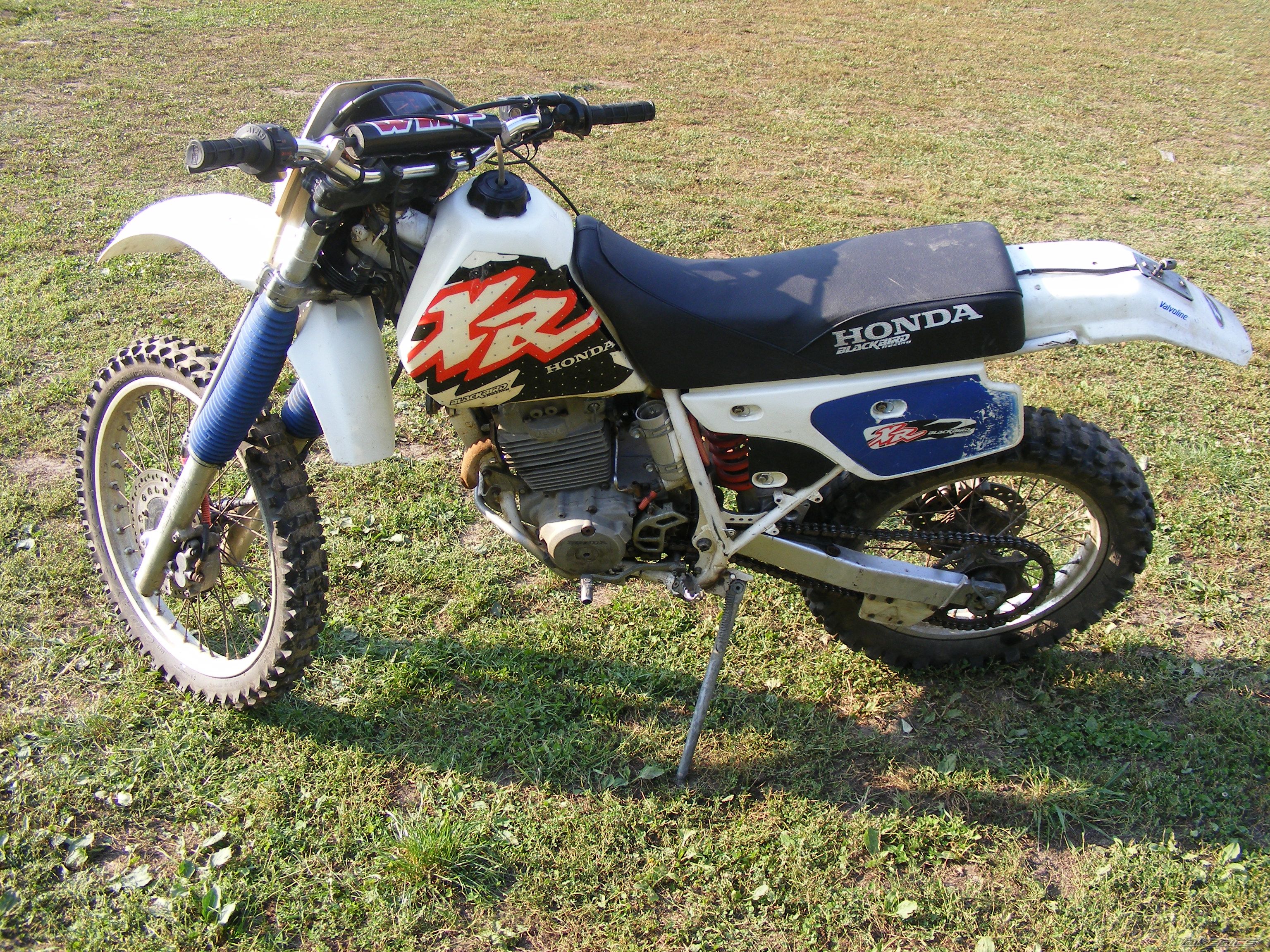 Photo 2004912