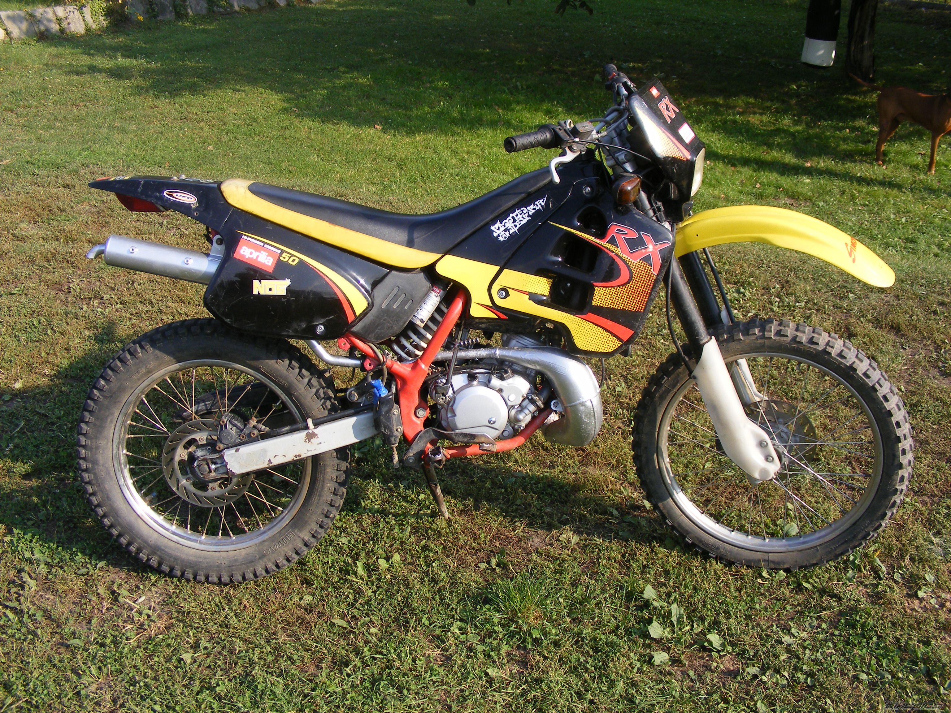 Photo 2004913