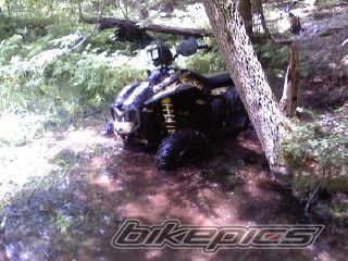 Photo 2005052