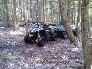 Photo 2005053