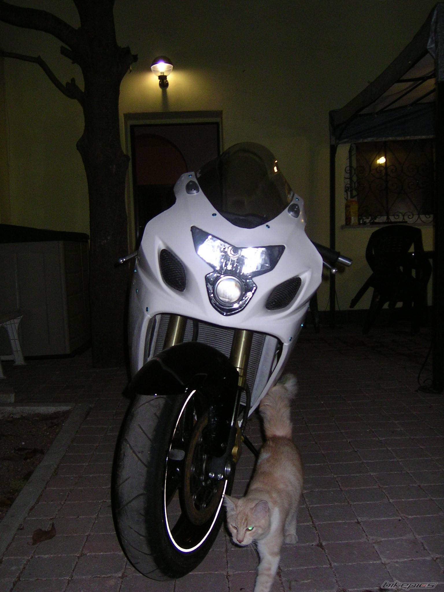 Photo 200508