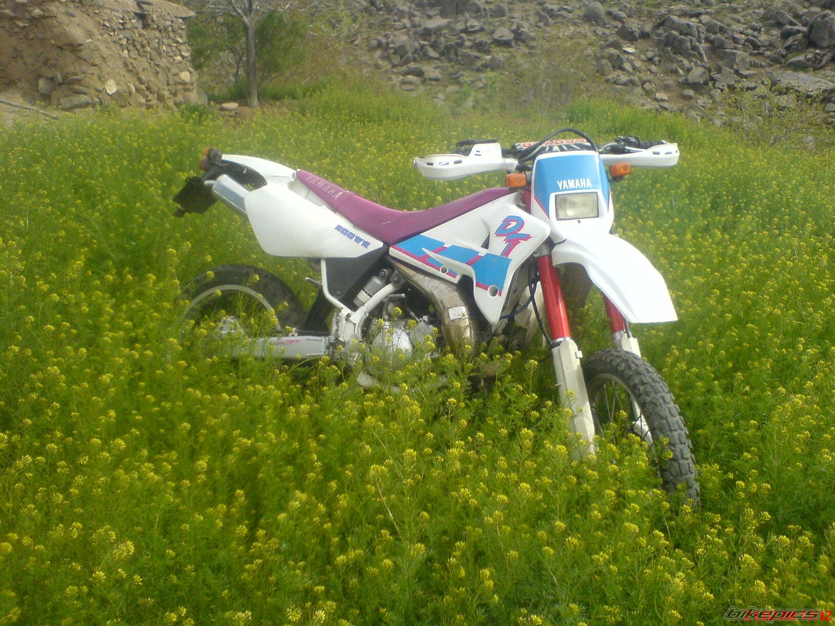 Photo 2005121