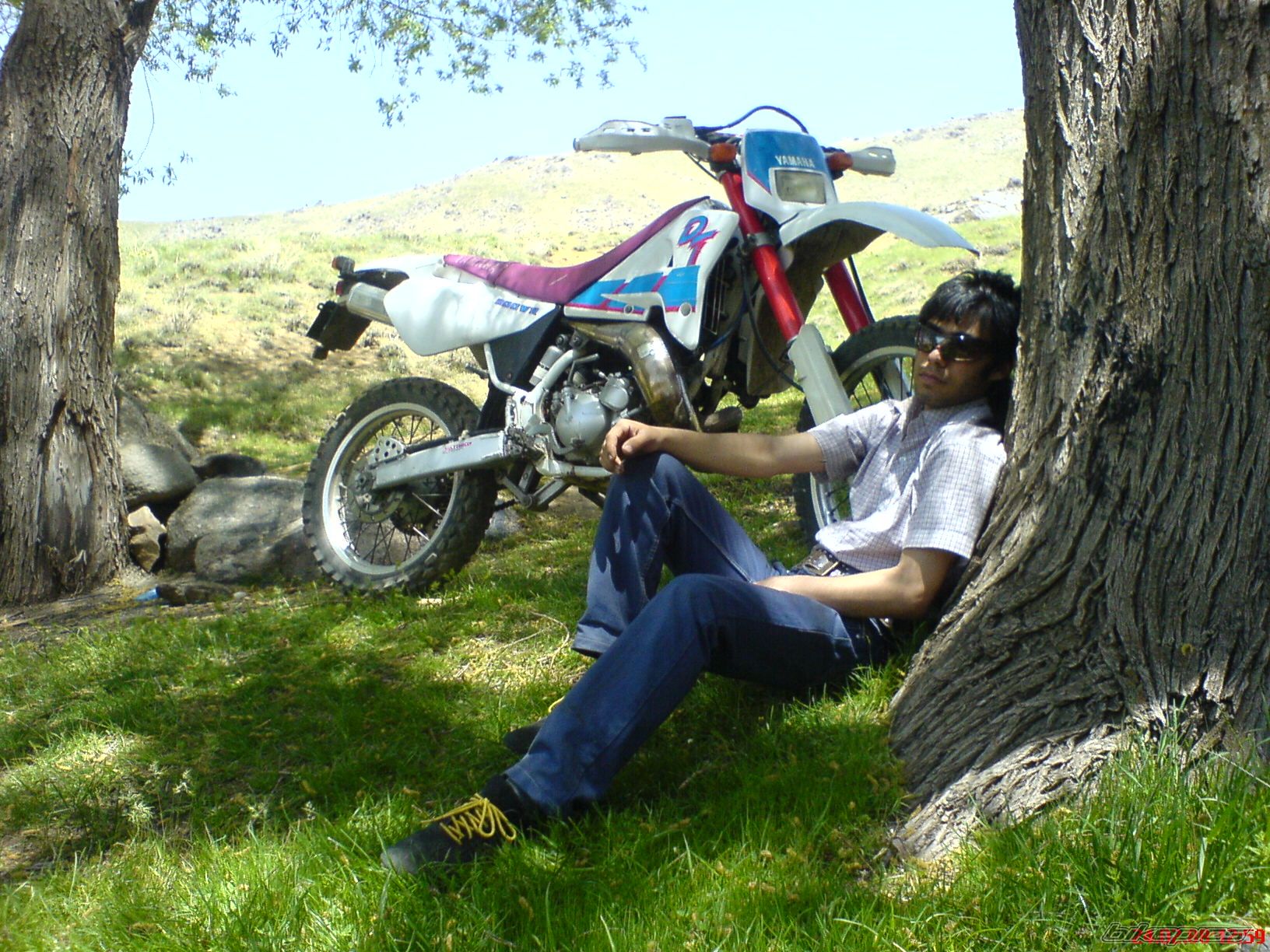 Photo 2005125