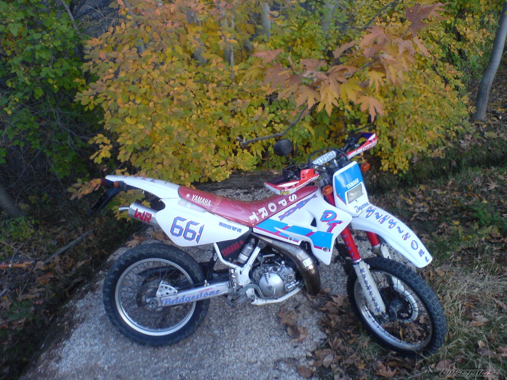 Photo 2005132