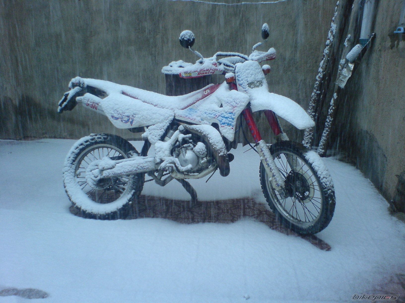 Photo 2005136