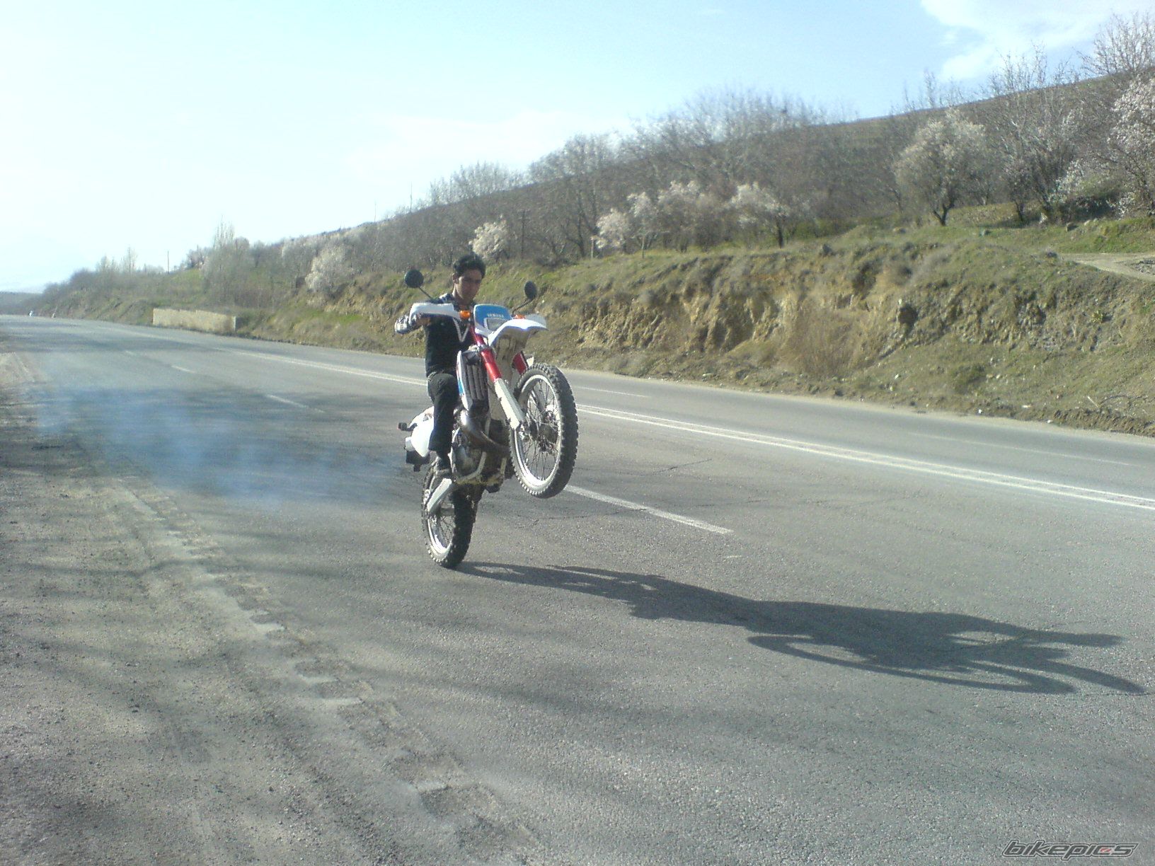 Photo 2005139