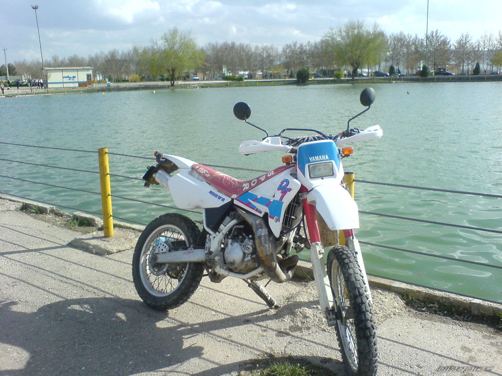 Photo 2005140