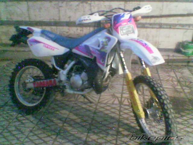 Photo 2005141