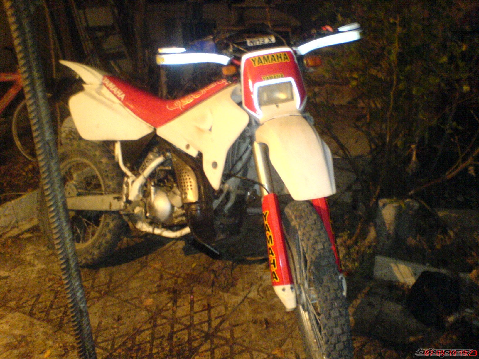 Photo 2005158