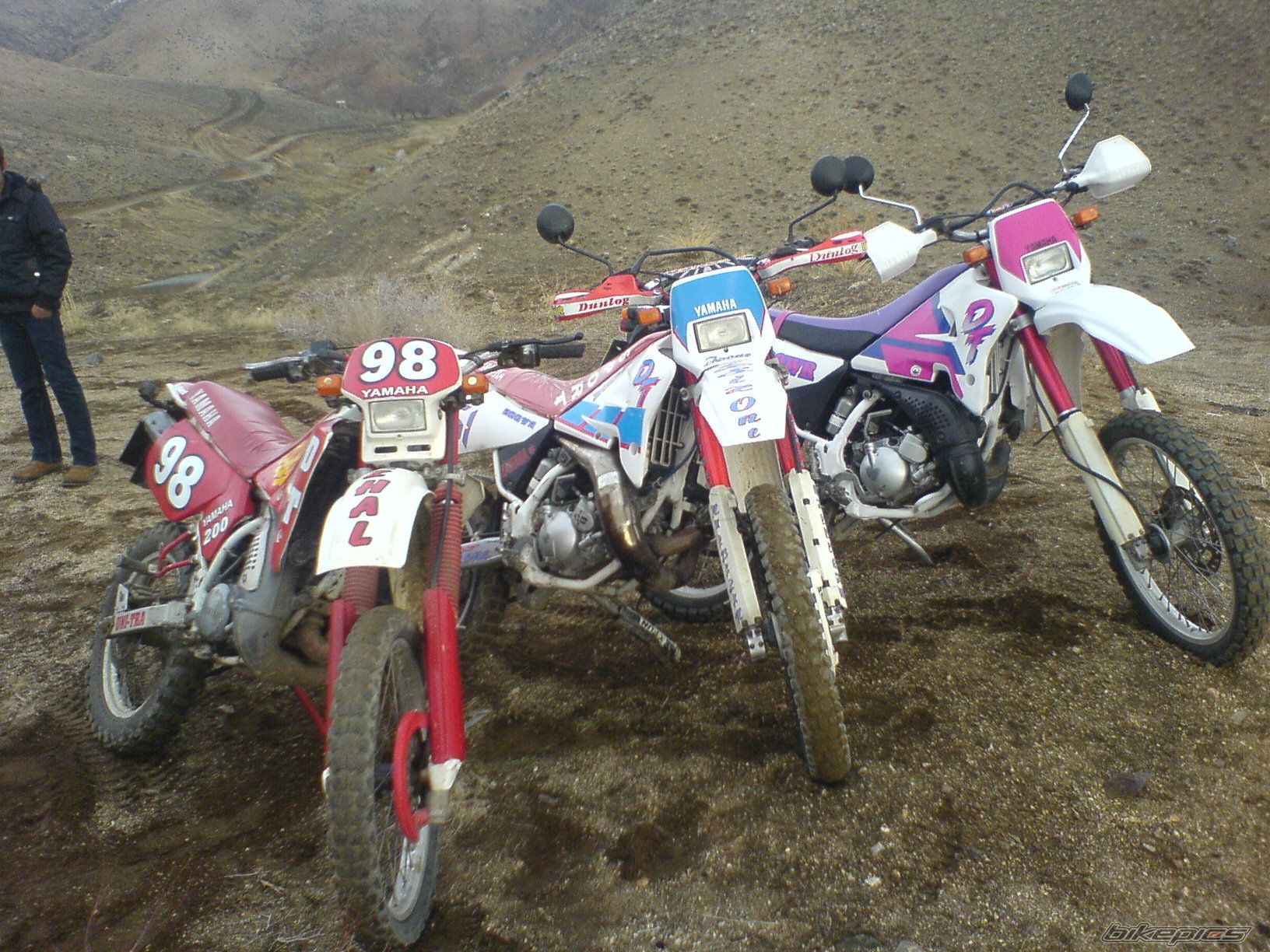 Photo 2005166