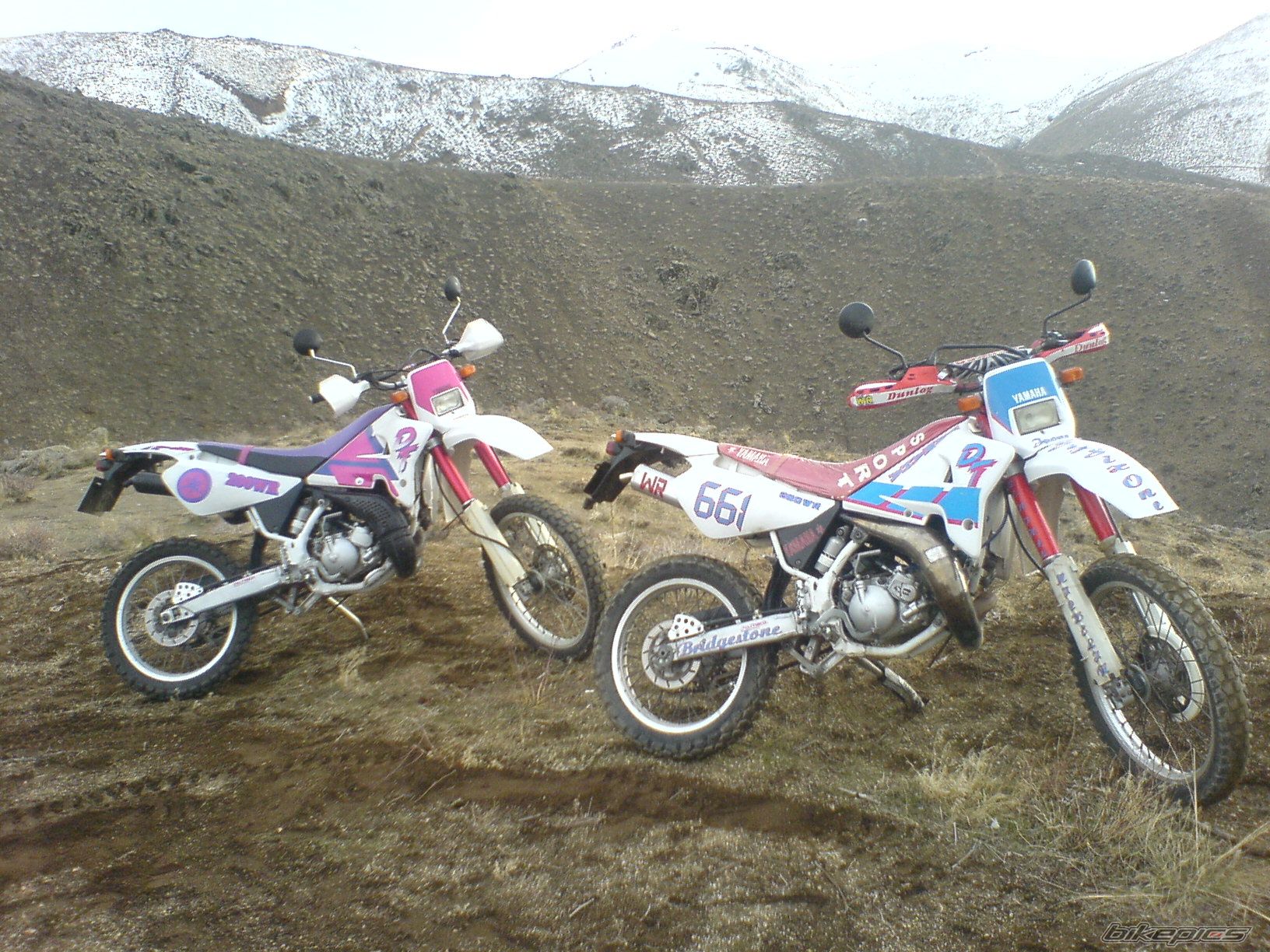 Photo 2005168