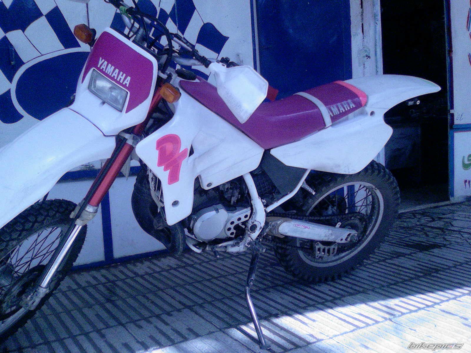 Photo 2005170