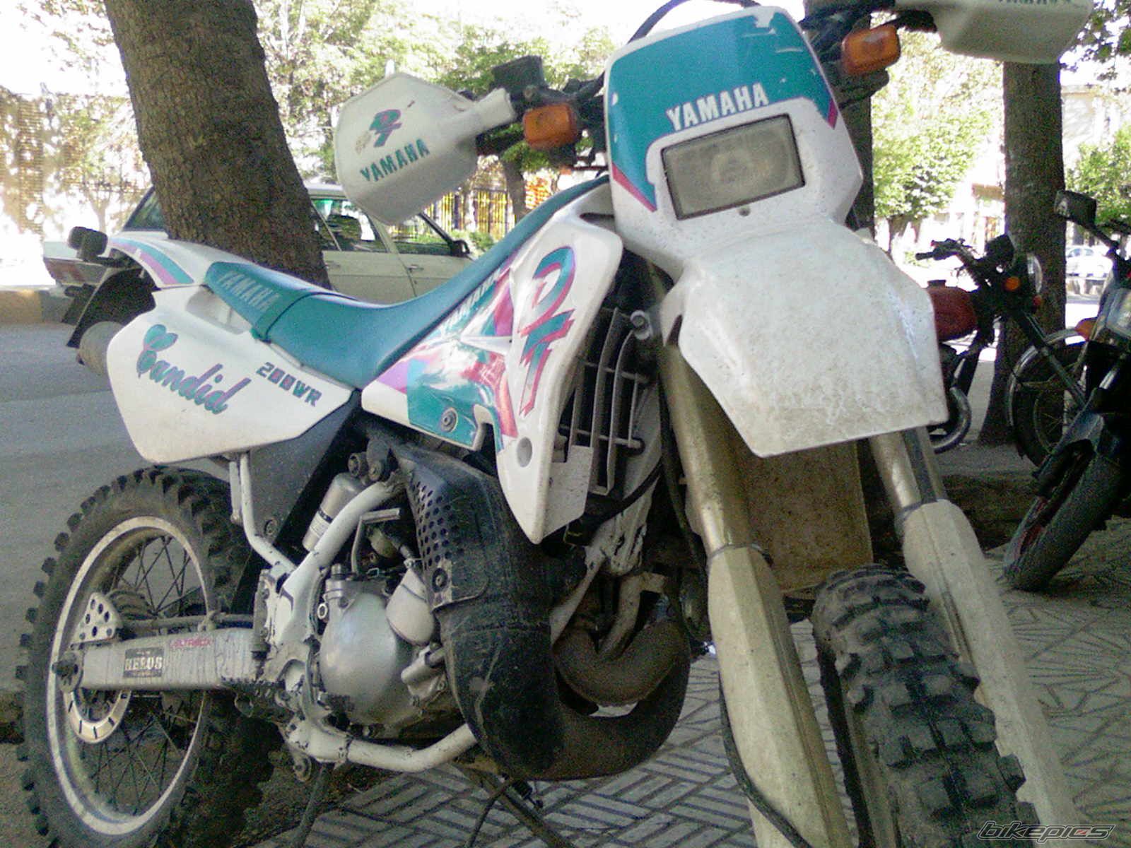 Photo 2005173