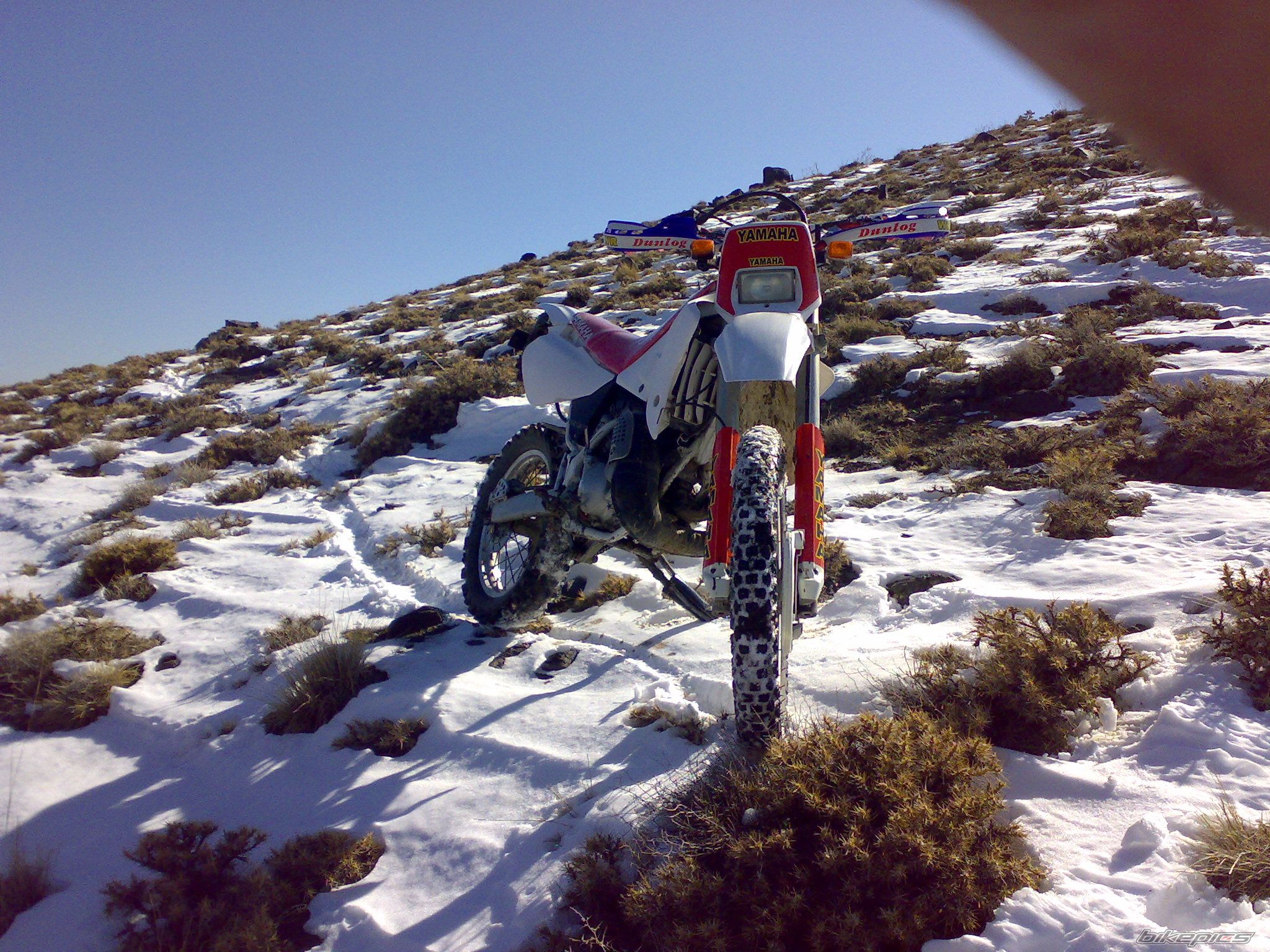 Photo 2005176