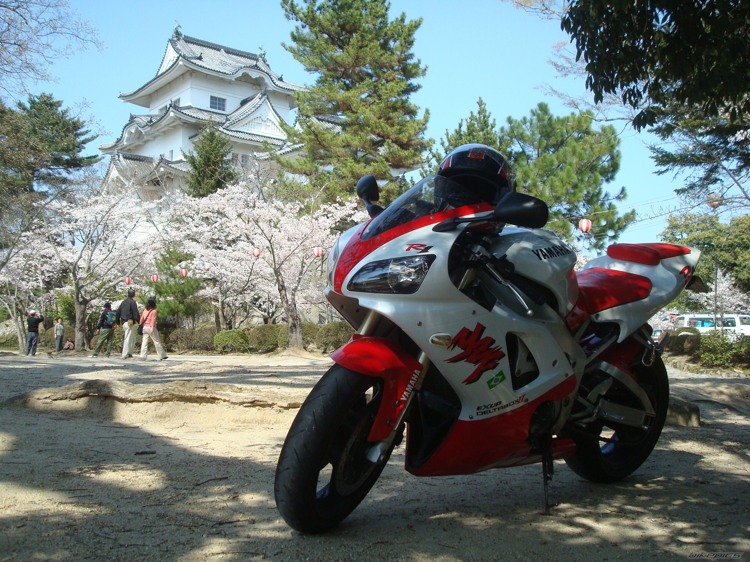 Bike Photo 2005177