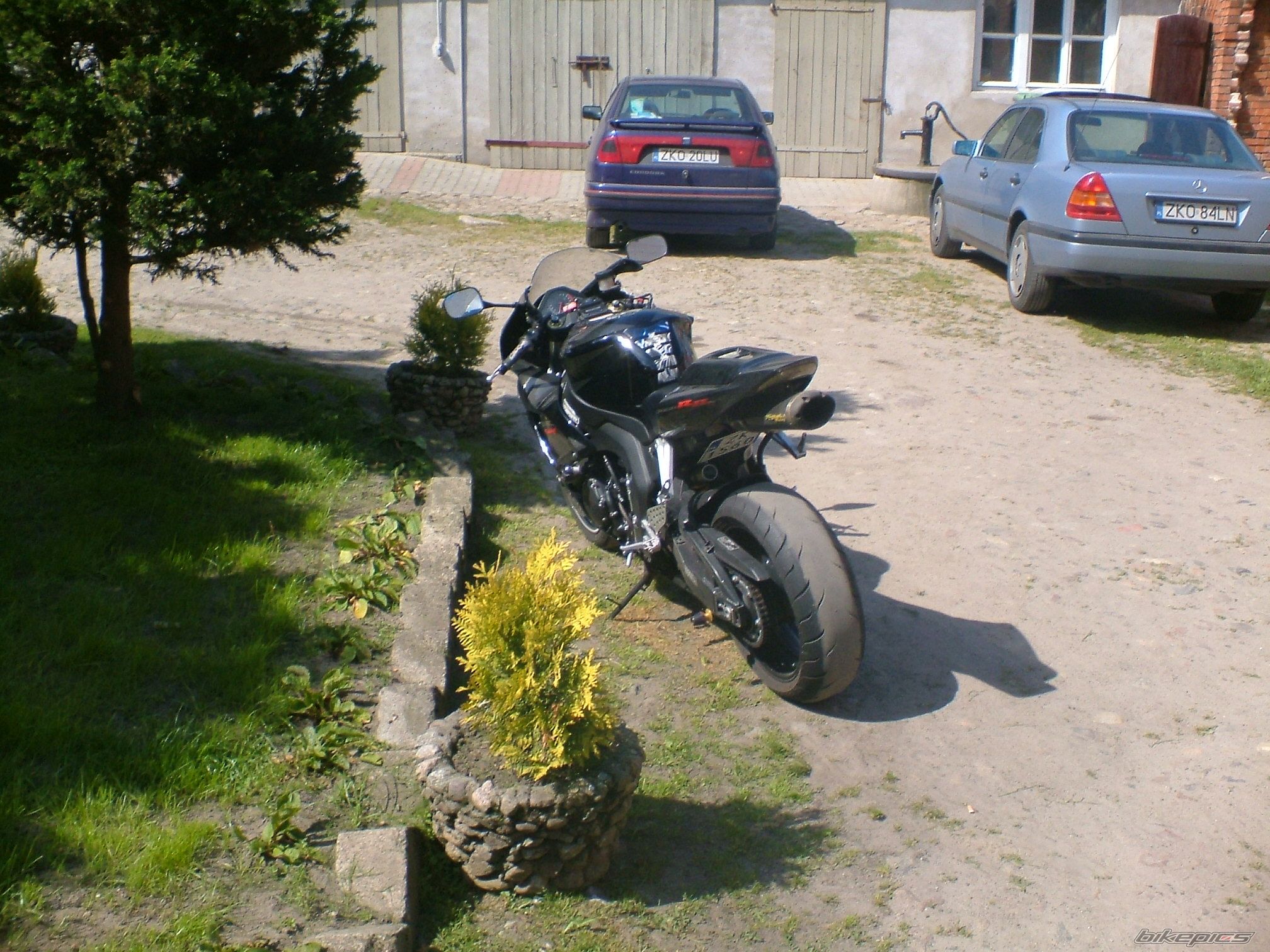 Photo 2005187