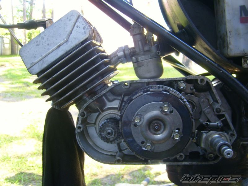 Photo 2005188