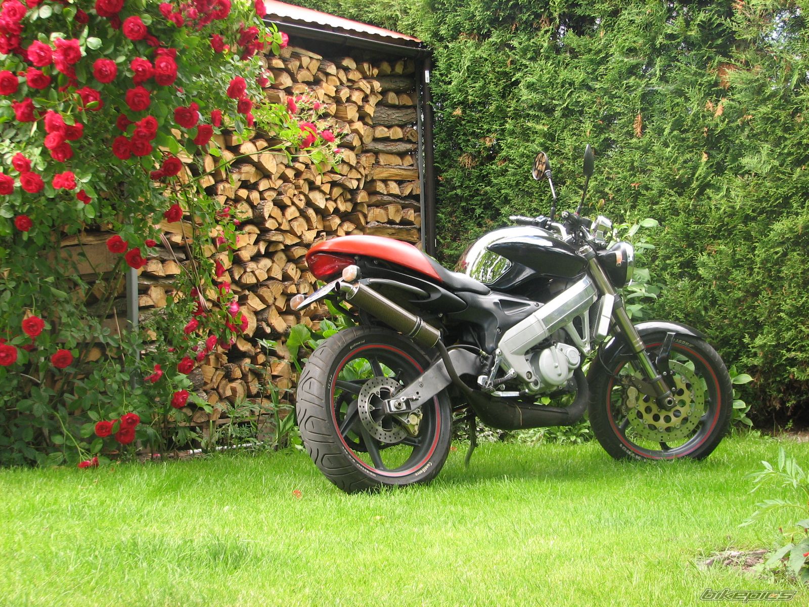 Photo 2005264