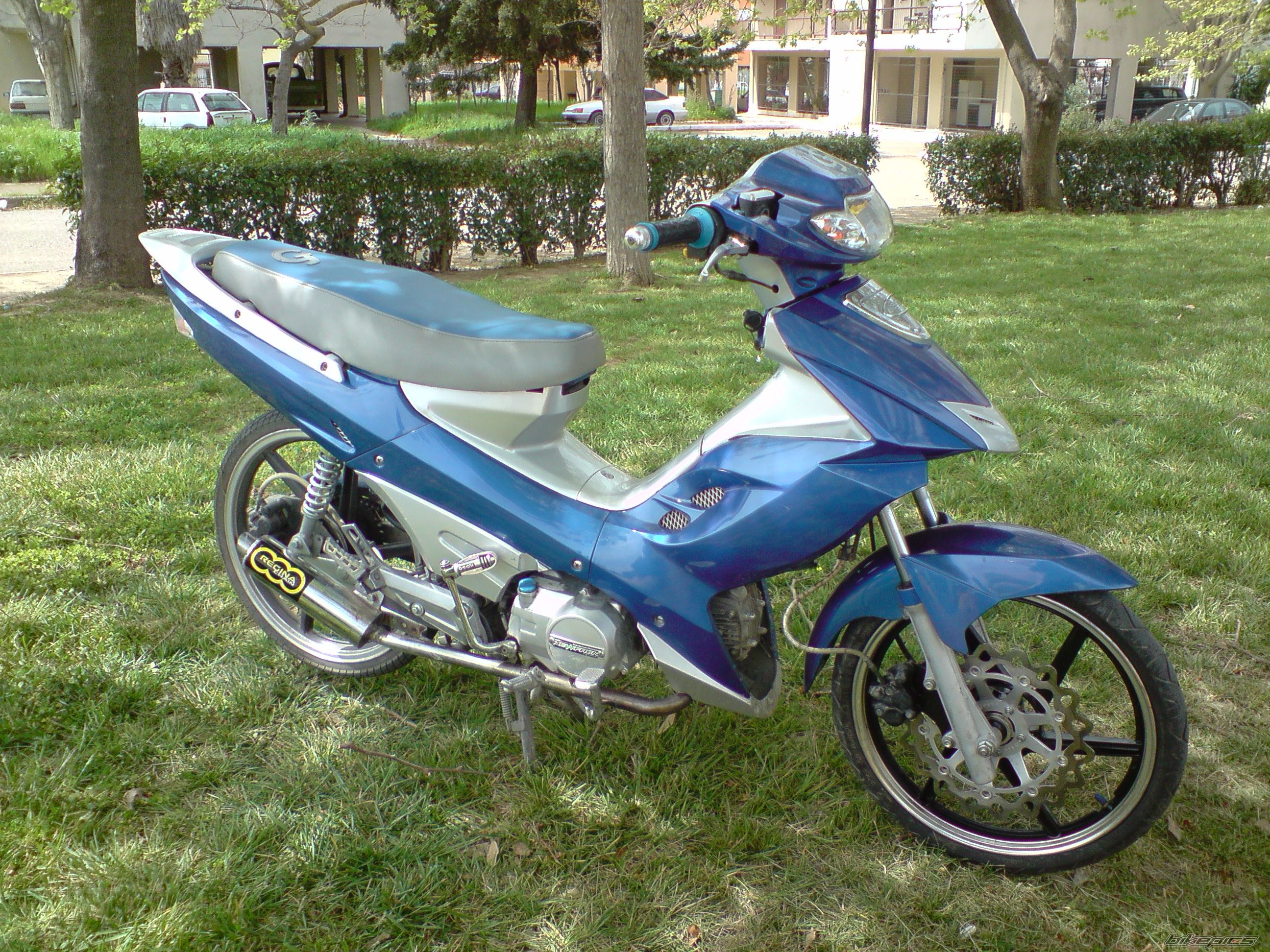 Photo 2005273