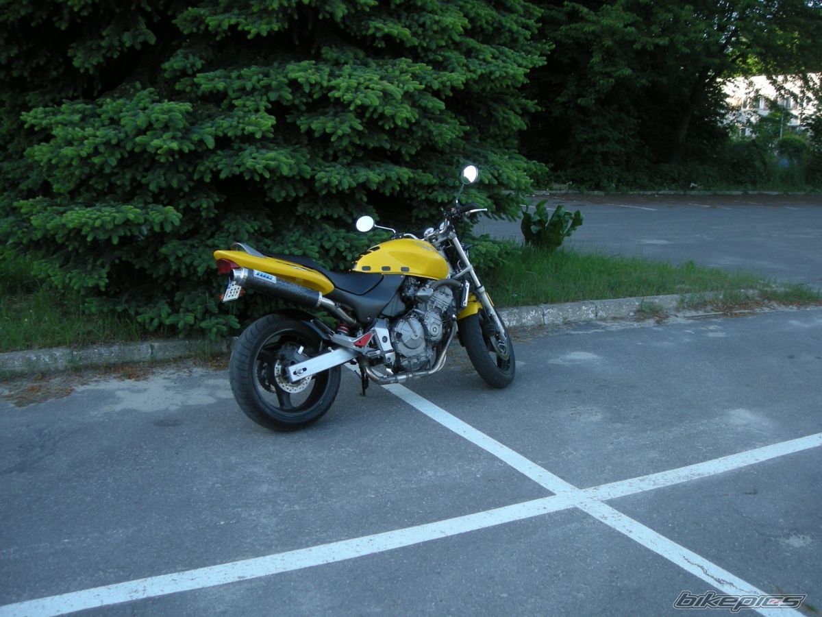 Photo 2005280