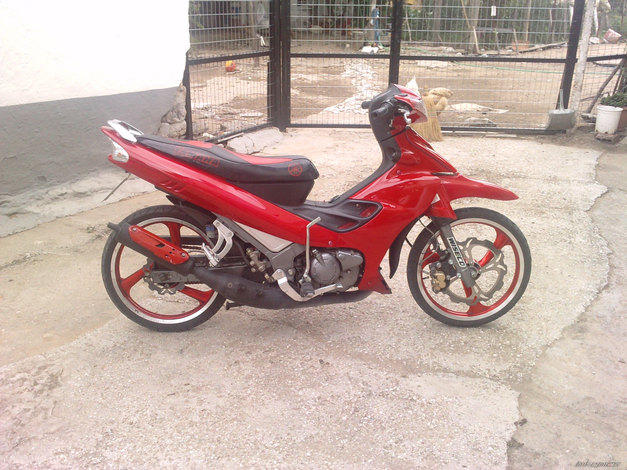 Photo 2005291