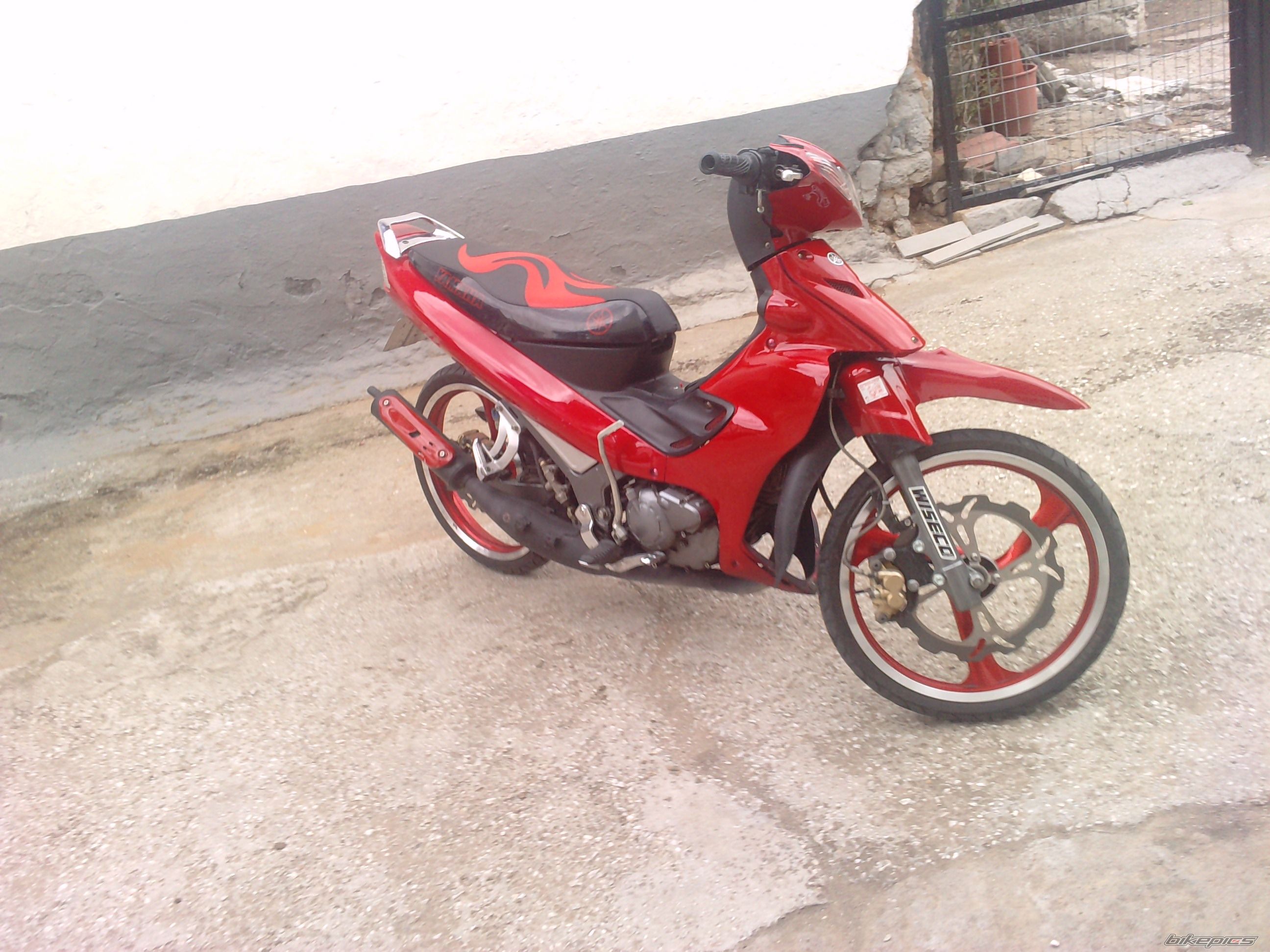 Photo 2005292