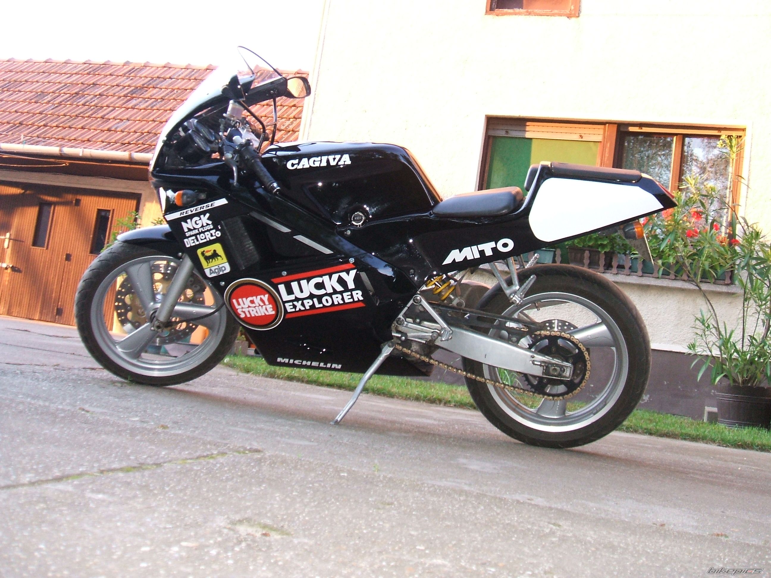 Photo 2005359