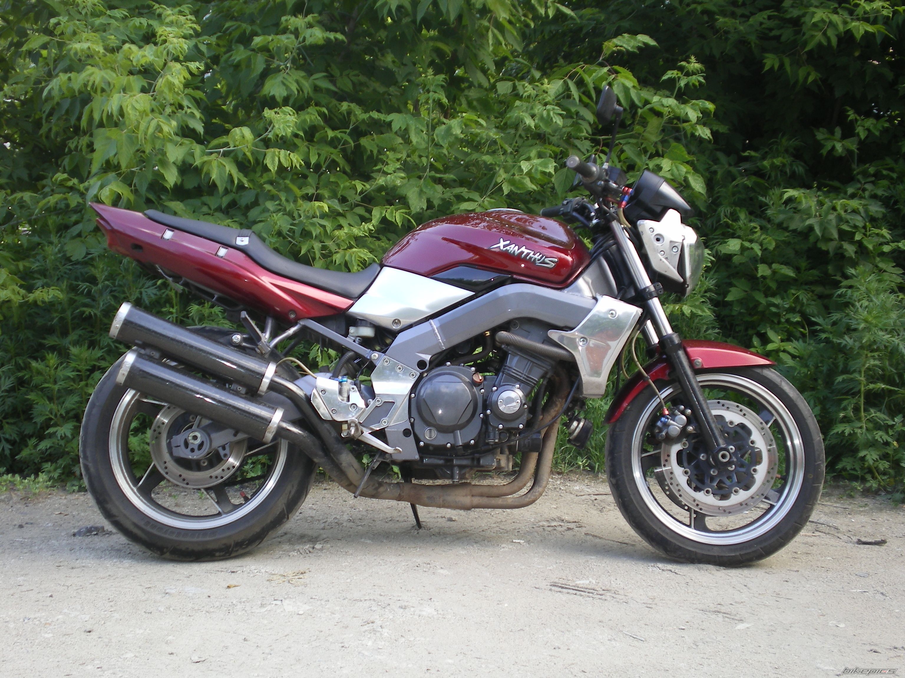 Photo 2005364