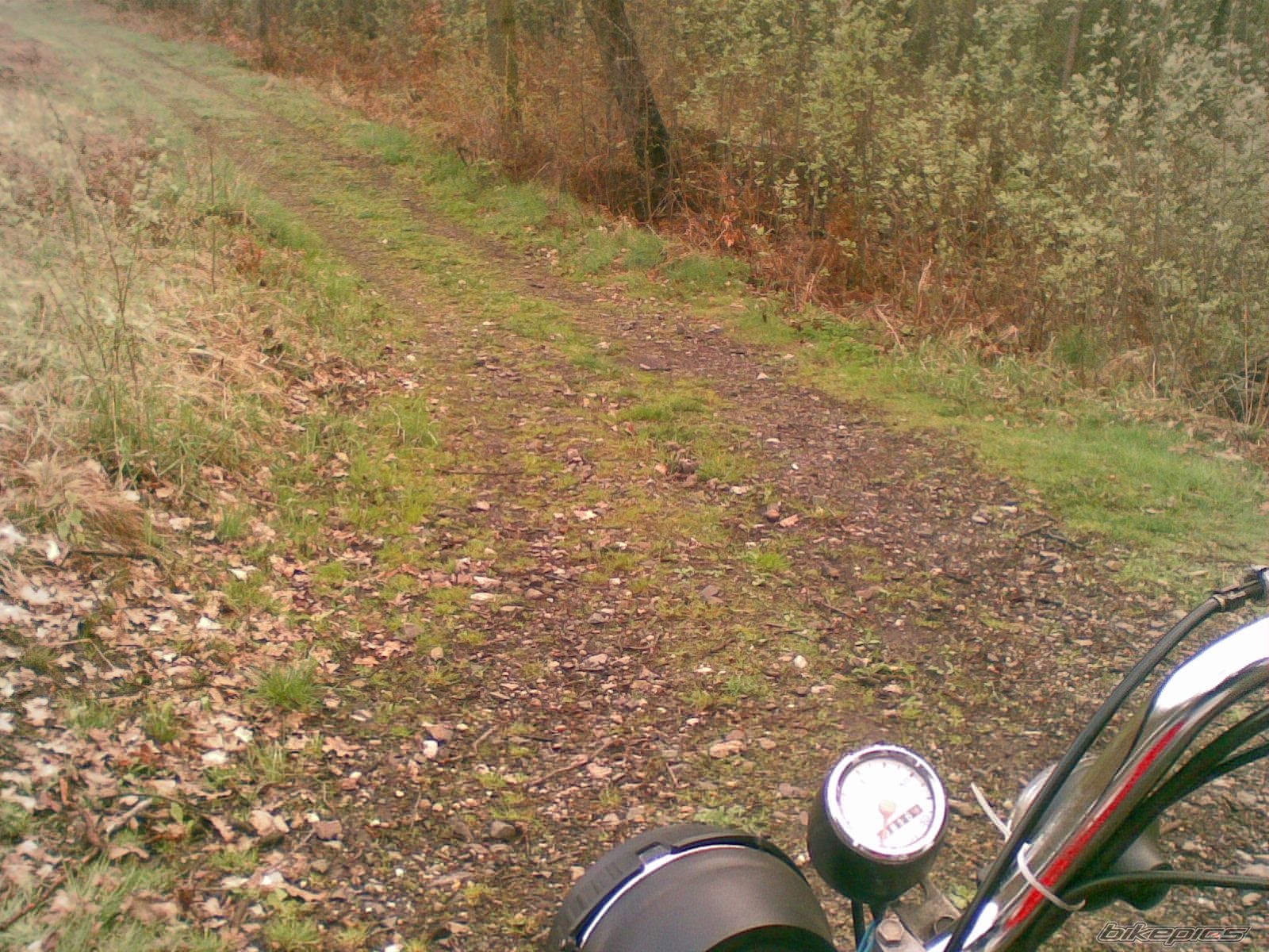 Bike Photo 2005439