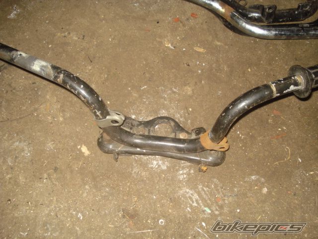 Photo 2005473