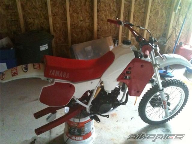 Photo 2005529