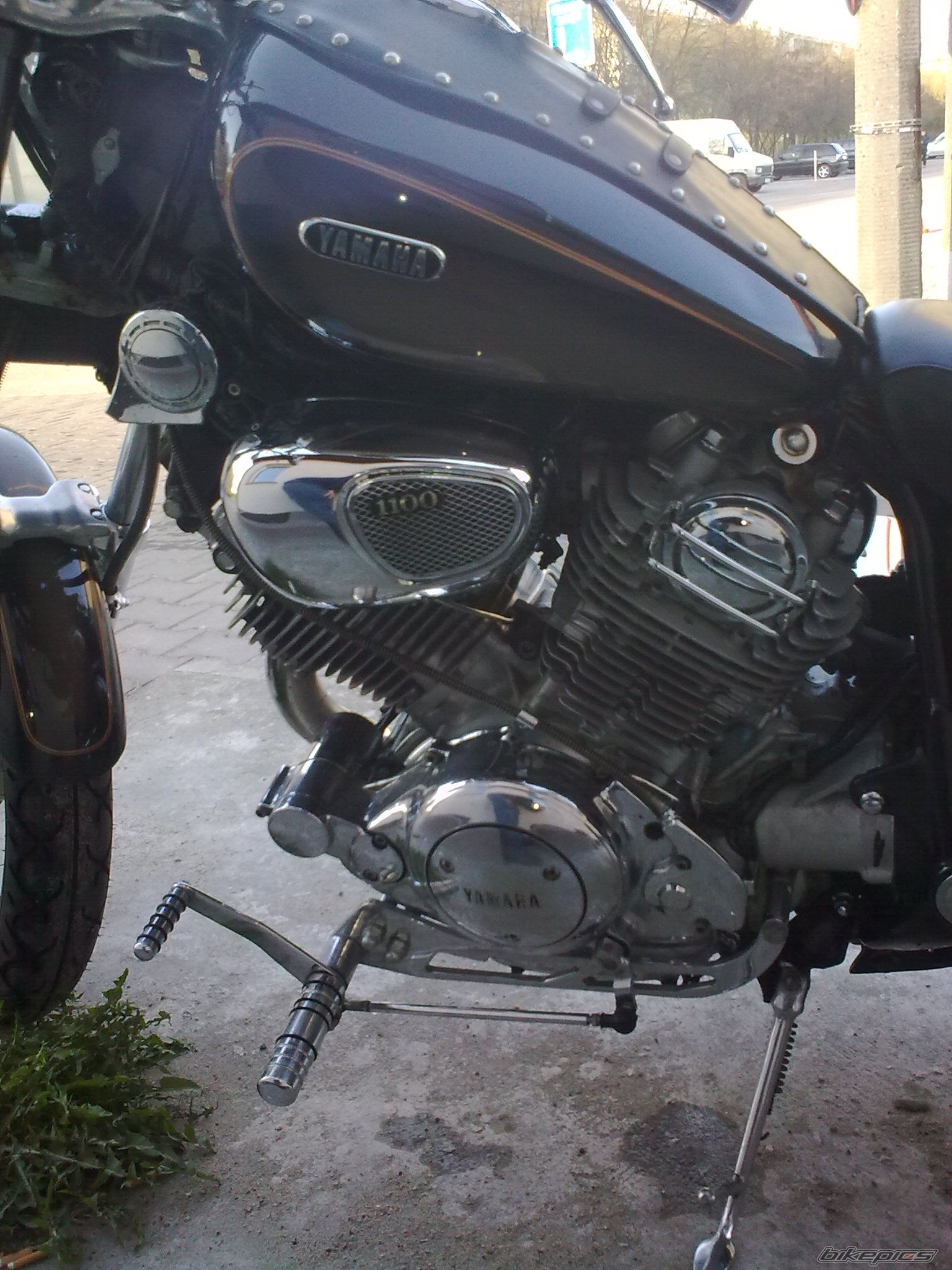 Photo 2005658