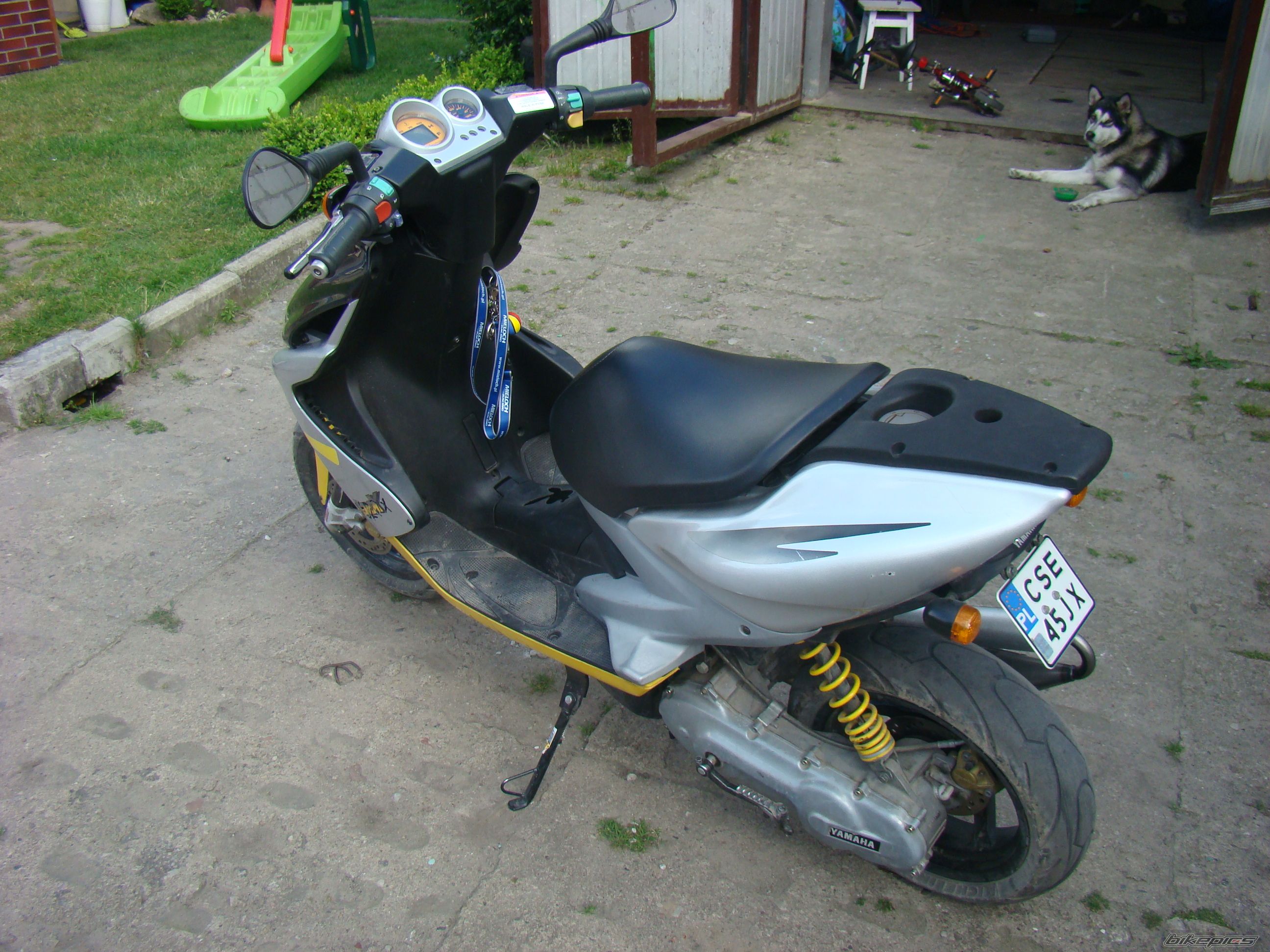 Photo 2005698