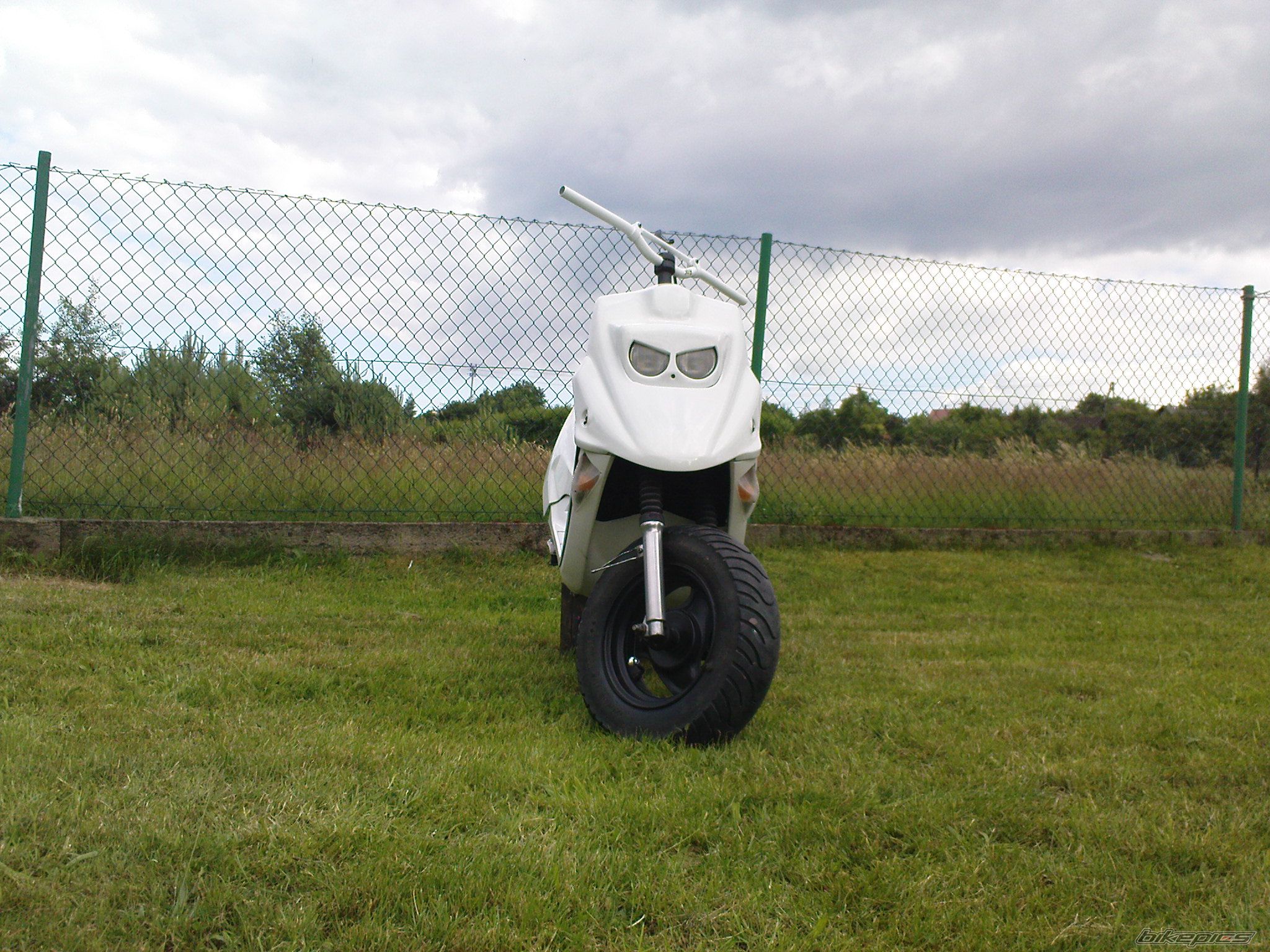 Photo 2005725