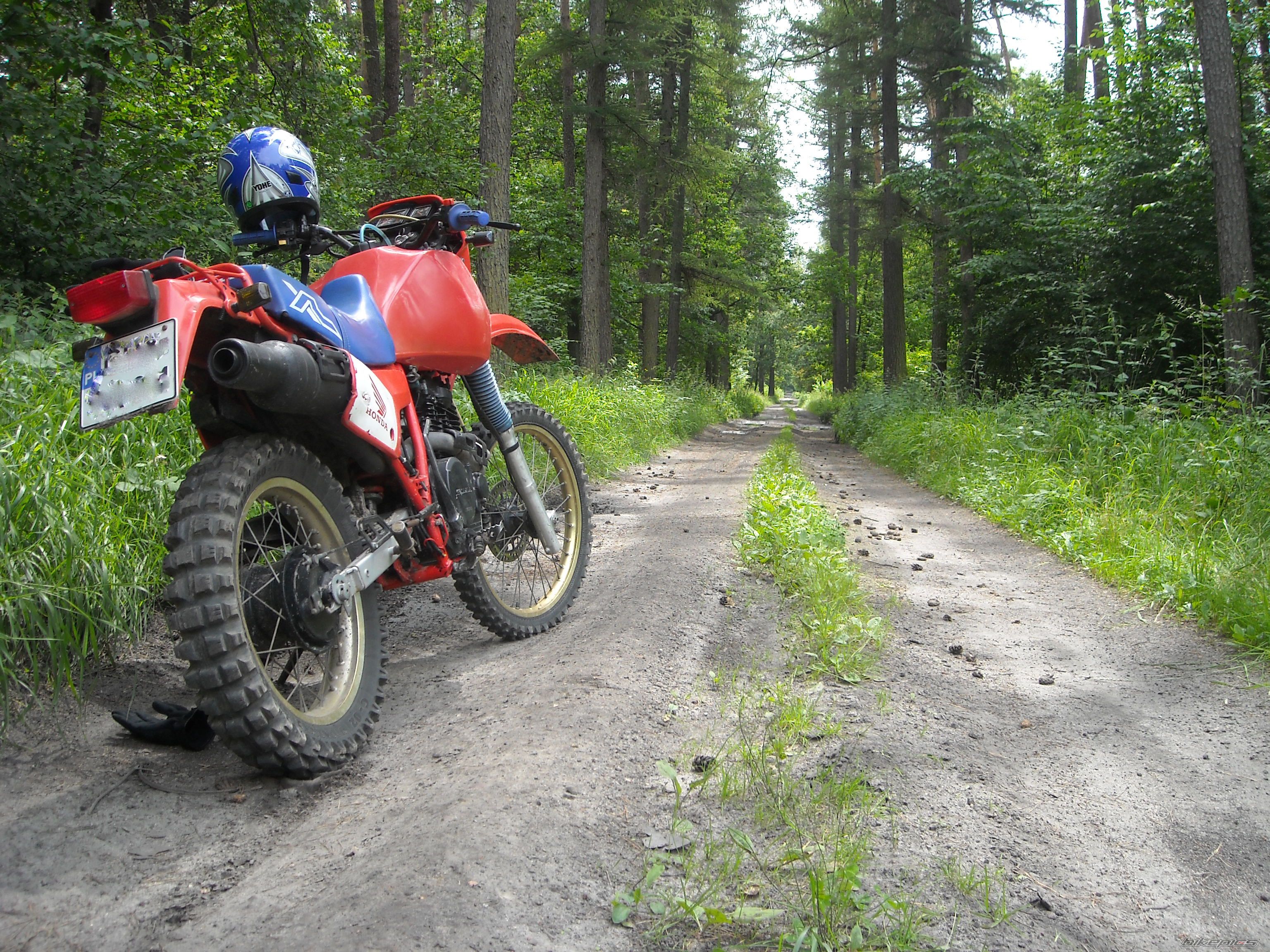 Photo 2005730
