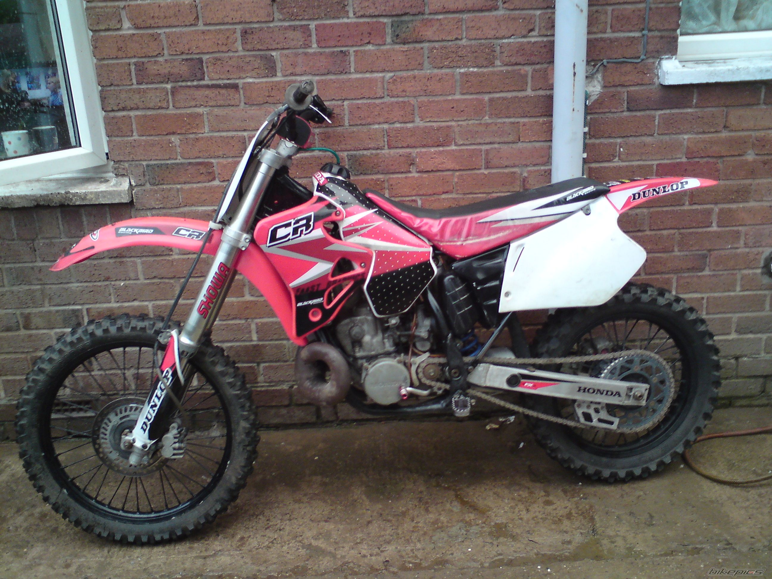 Photo 2005769