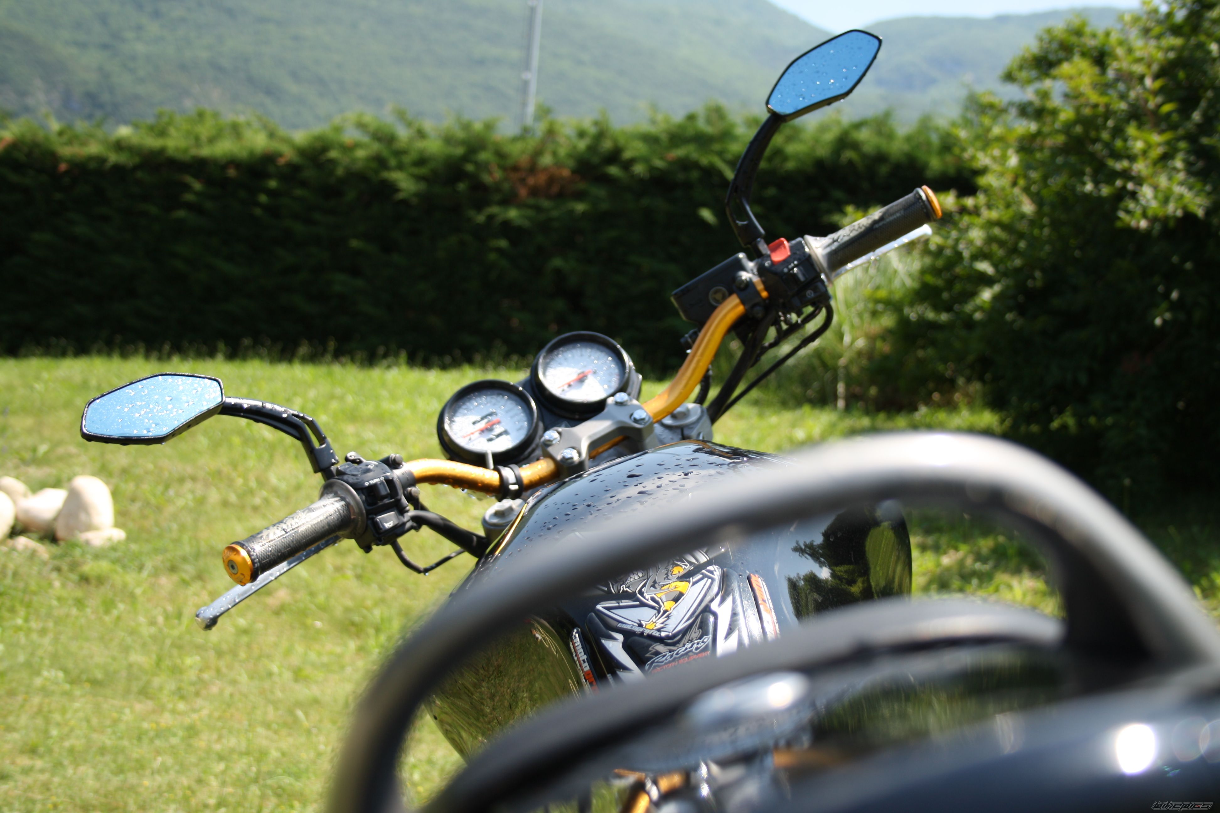 Photo 2005784