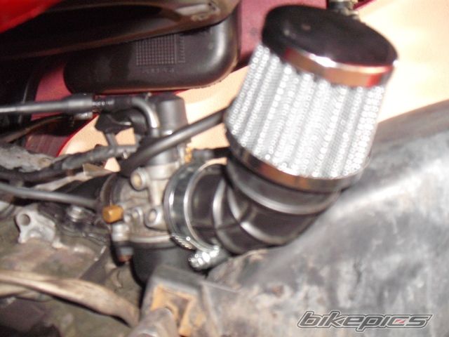 Photo 2005804