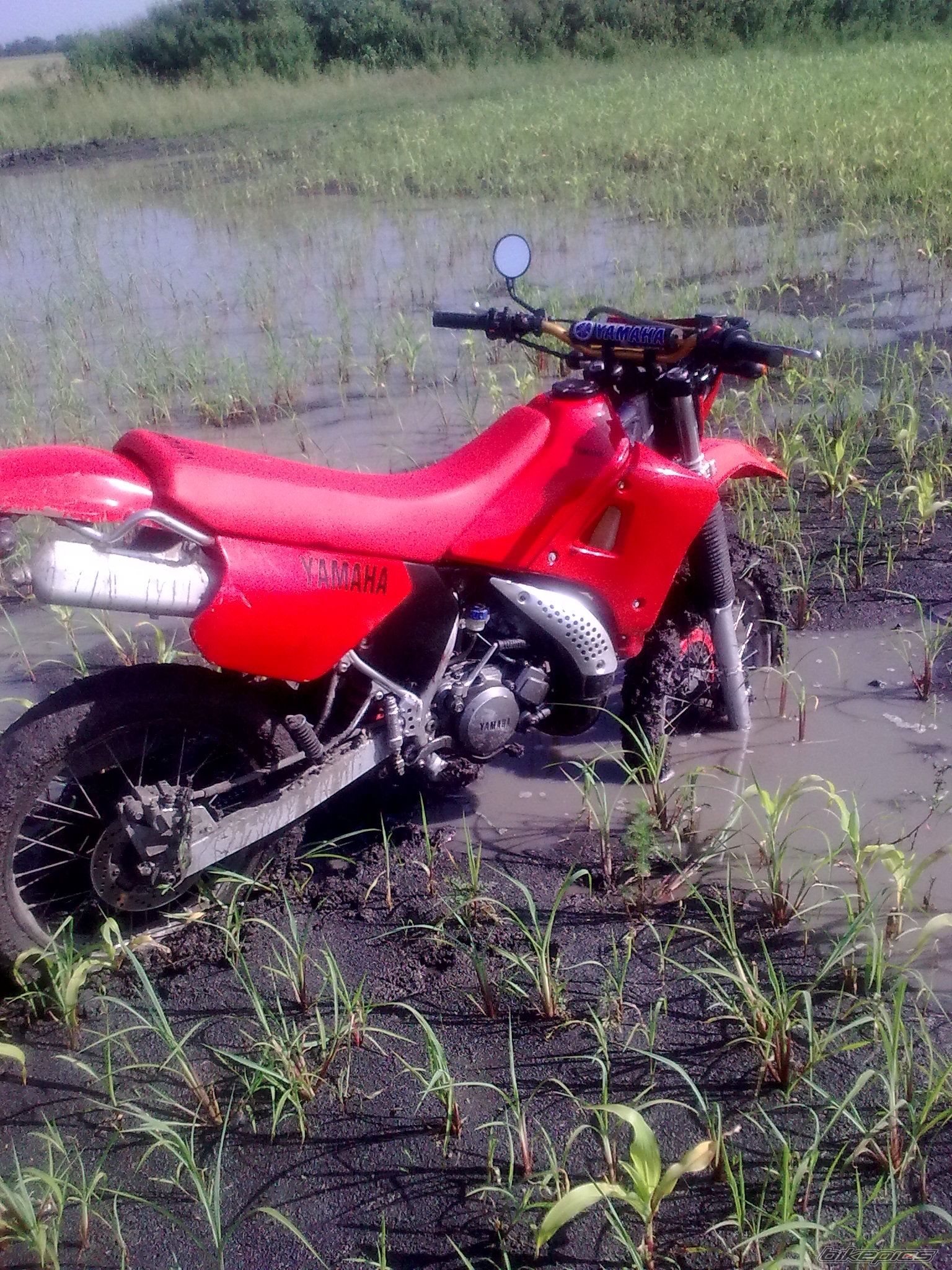 Photo 2005849