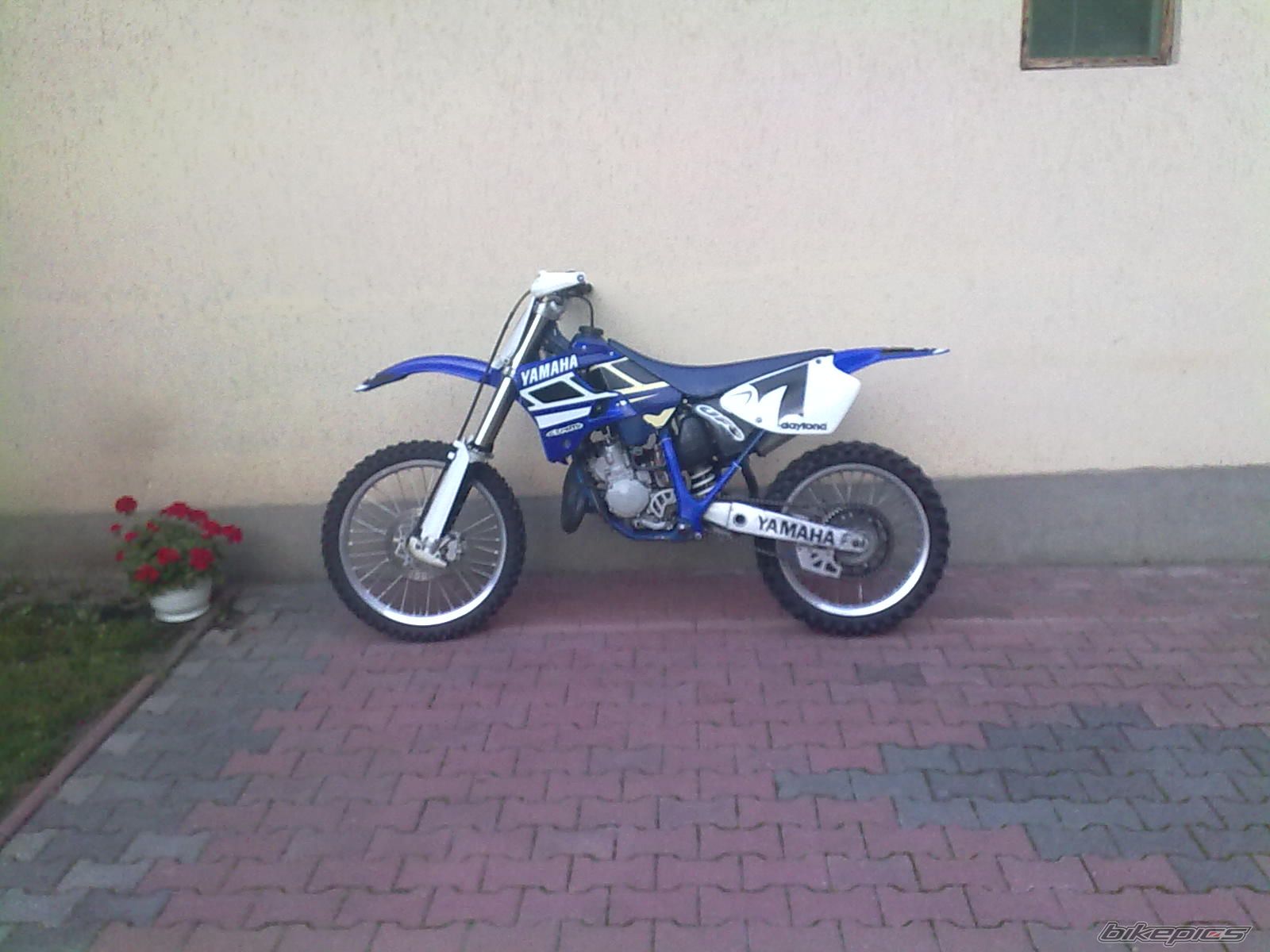 Photo 2005899