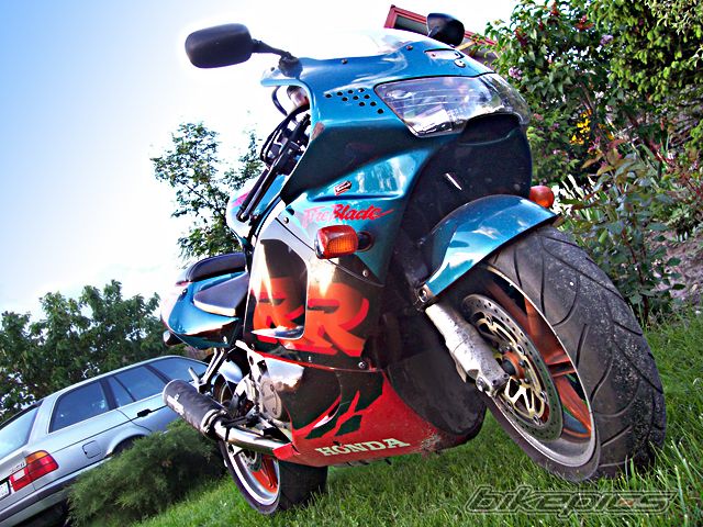 Photo 2005911