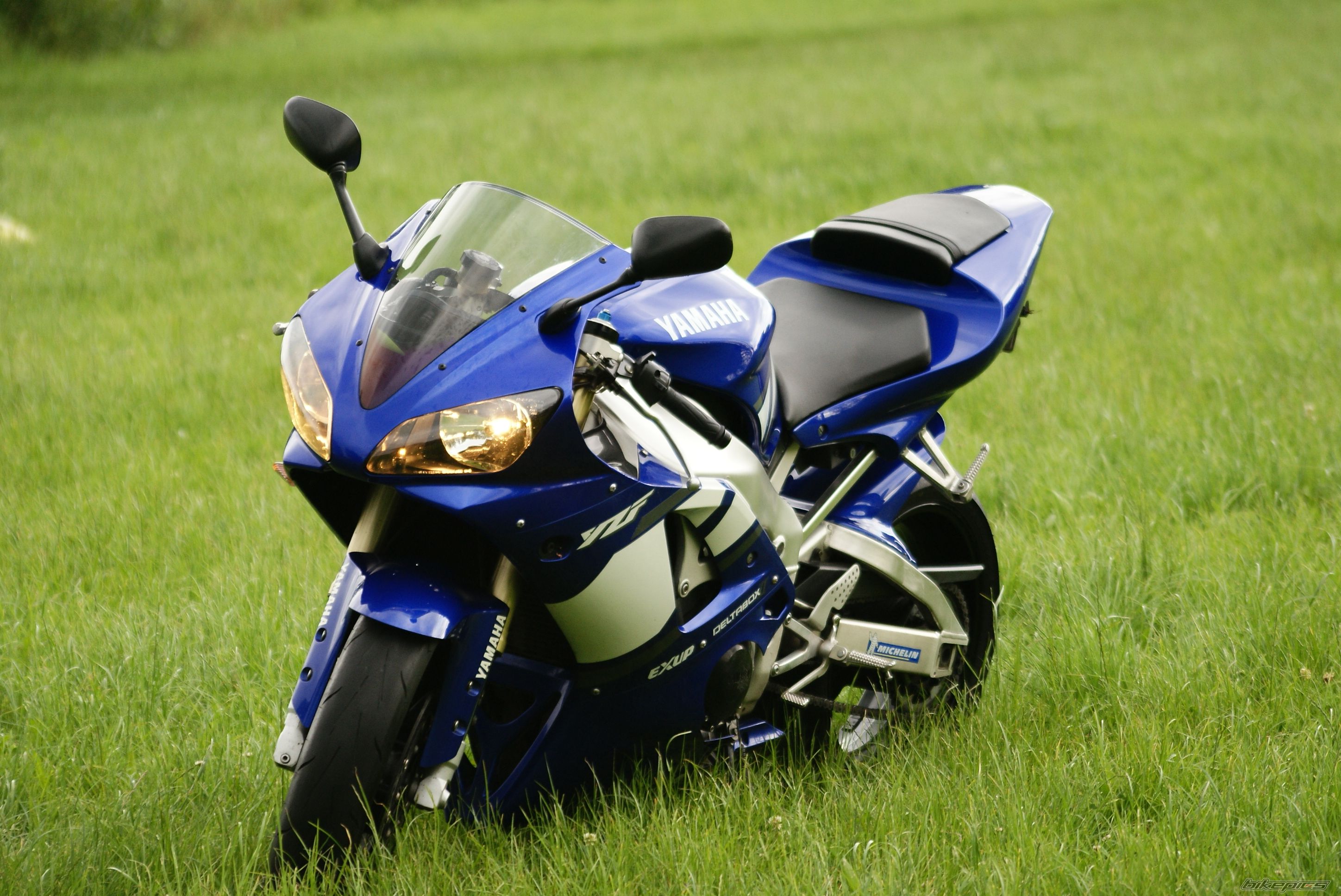 Photo 2005963