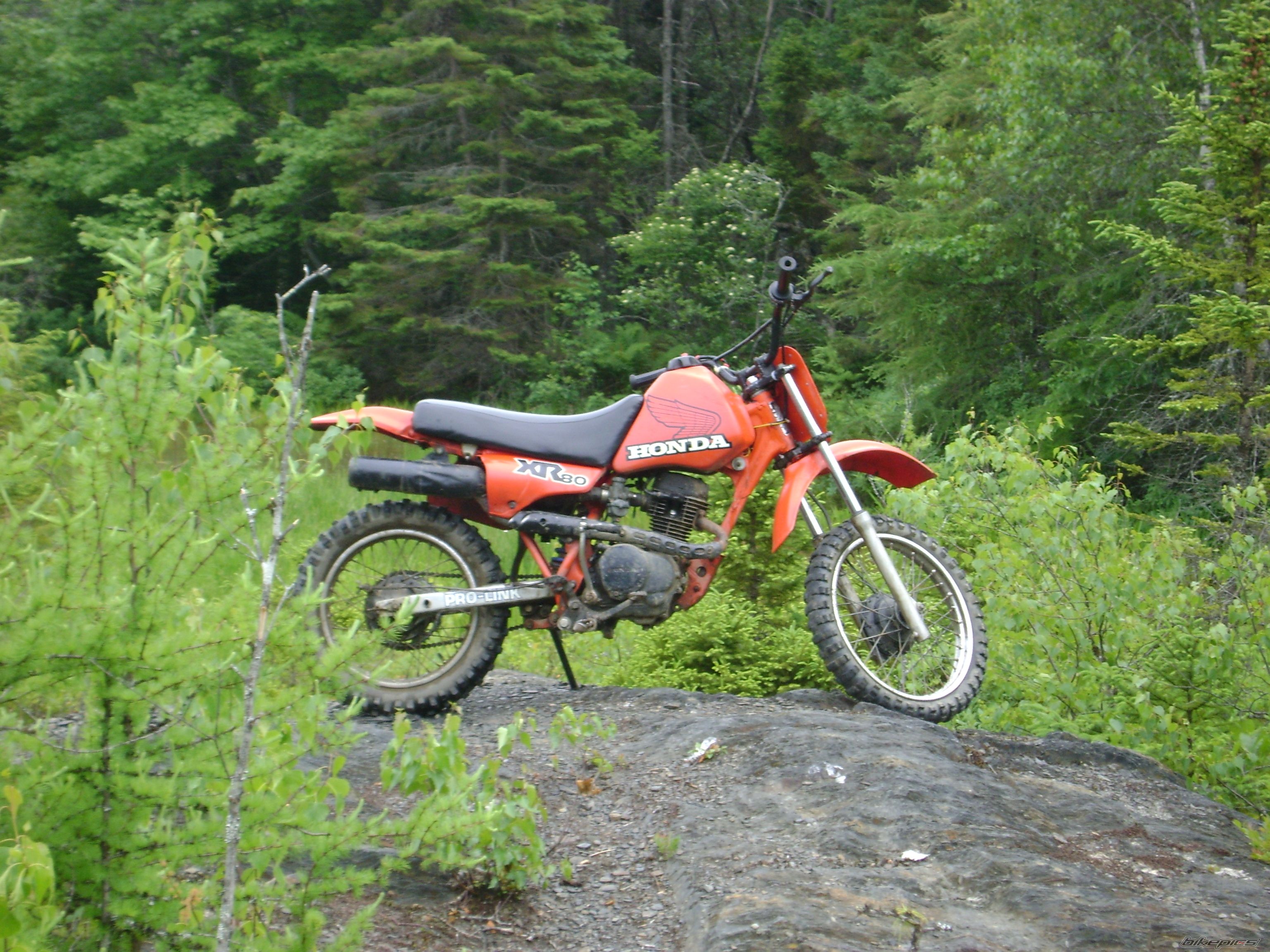 Photo 2006086